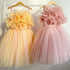 Color Crush dress Little Palace Store